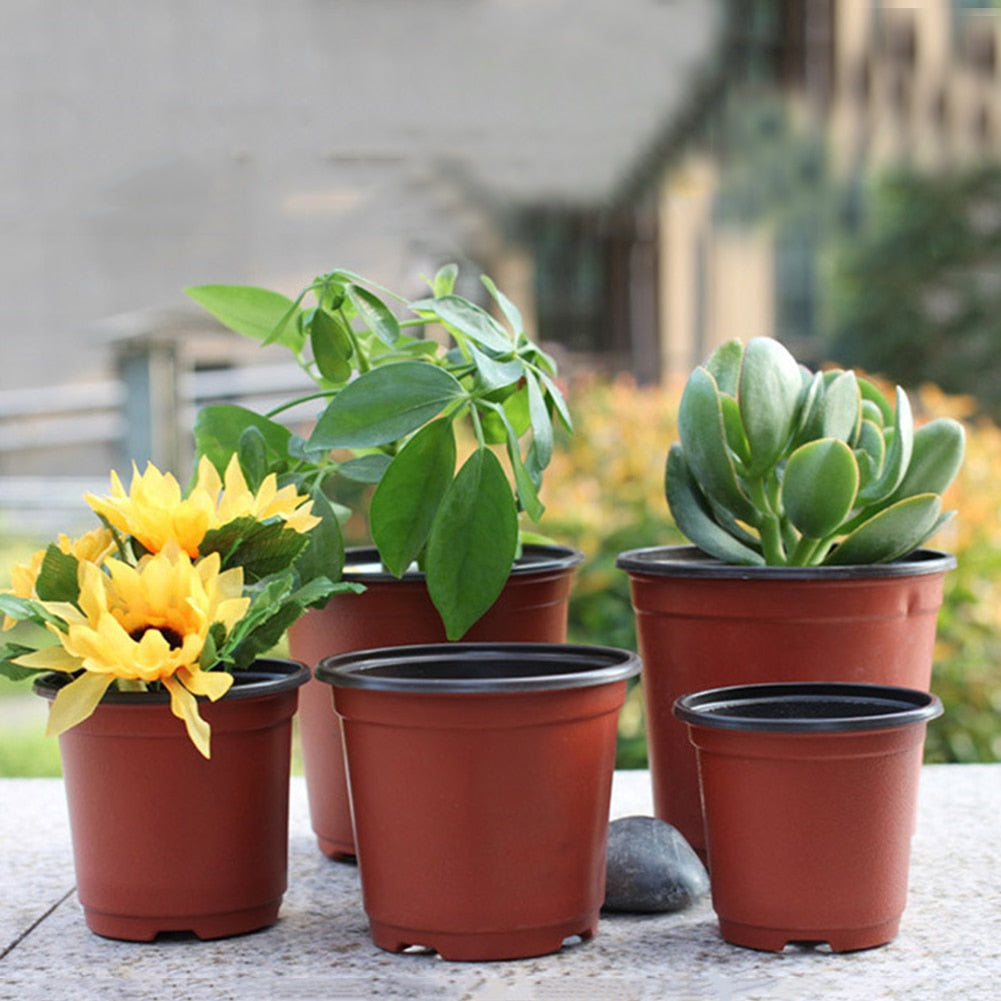 100pcs Plastic Gardening Grow Flower Pots